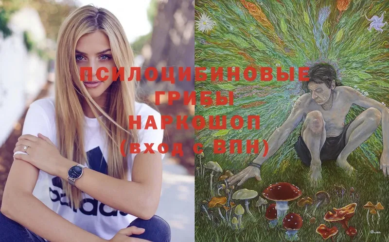 продажа наркотиков  Ленск  Галлюциногенные грибы Magic Shrooms 